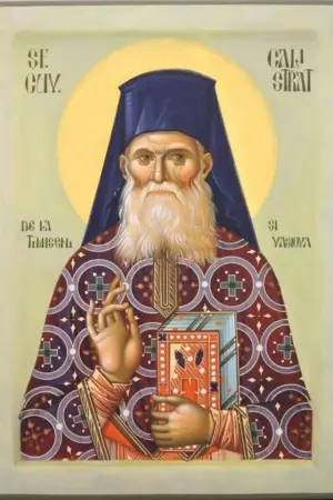 Sfântul Cuvios Calistrat de la Timișeni și Vasiova